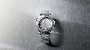 SEAMASTER DIVER 300M 42 MM - grigio