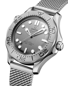 SEAMASTER DIVER 300M 42 MM - grigio